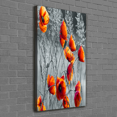 Picture canvas print Field poppies