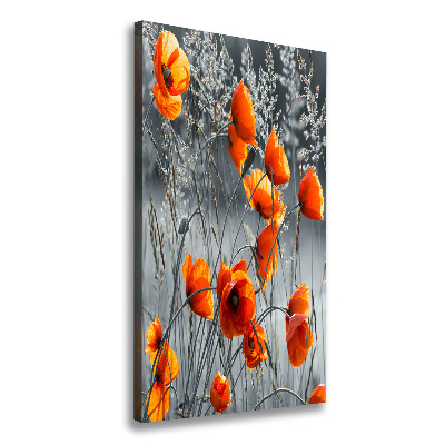 Picture canvas print Field poppies