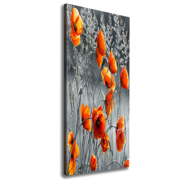 Picture canvas print Field poppies