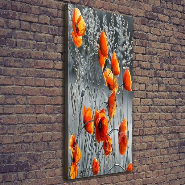 Picture canvas print Field poppies