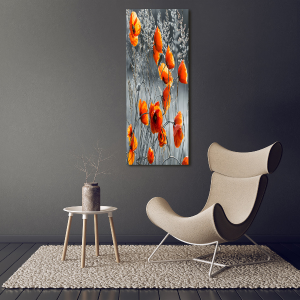 Picture canvas print Field poppies