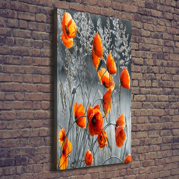 Picture canvas print Field poppies