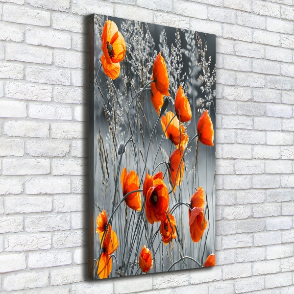 Picture canvas print Field poppies