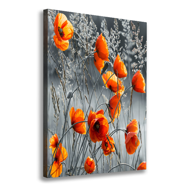 Picture canvas print Field poppies