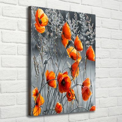 Picture canvas print Field poppies