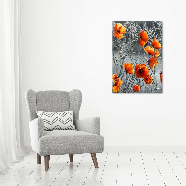 Picture canvas print Field poppies