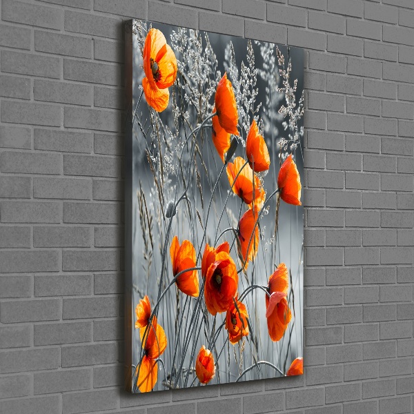 Picture canvas print Field poppies