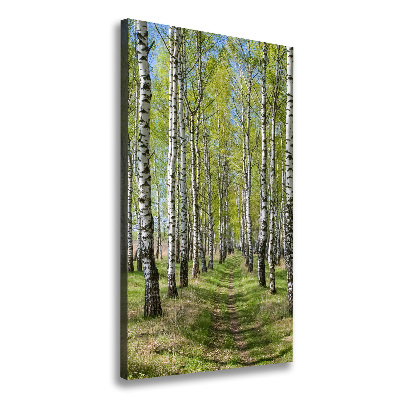 Canvas wall art Birch forest