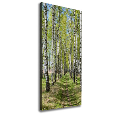 Canvas wall art Birch forest