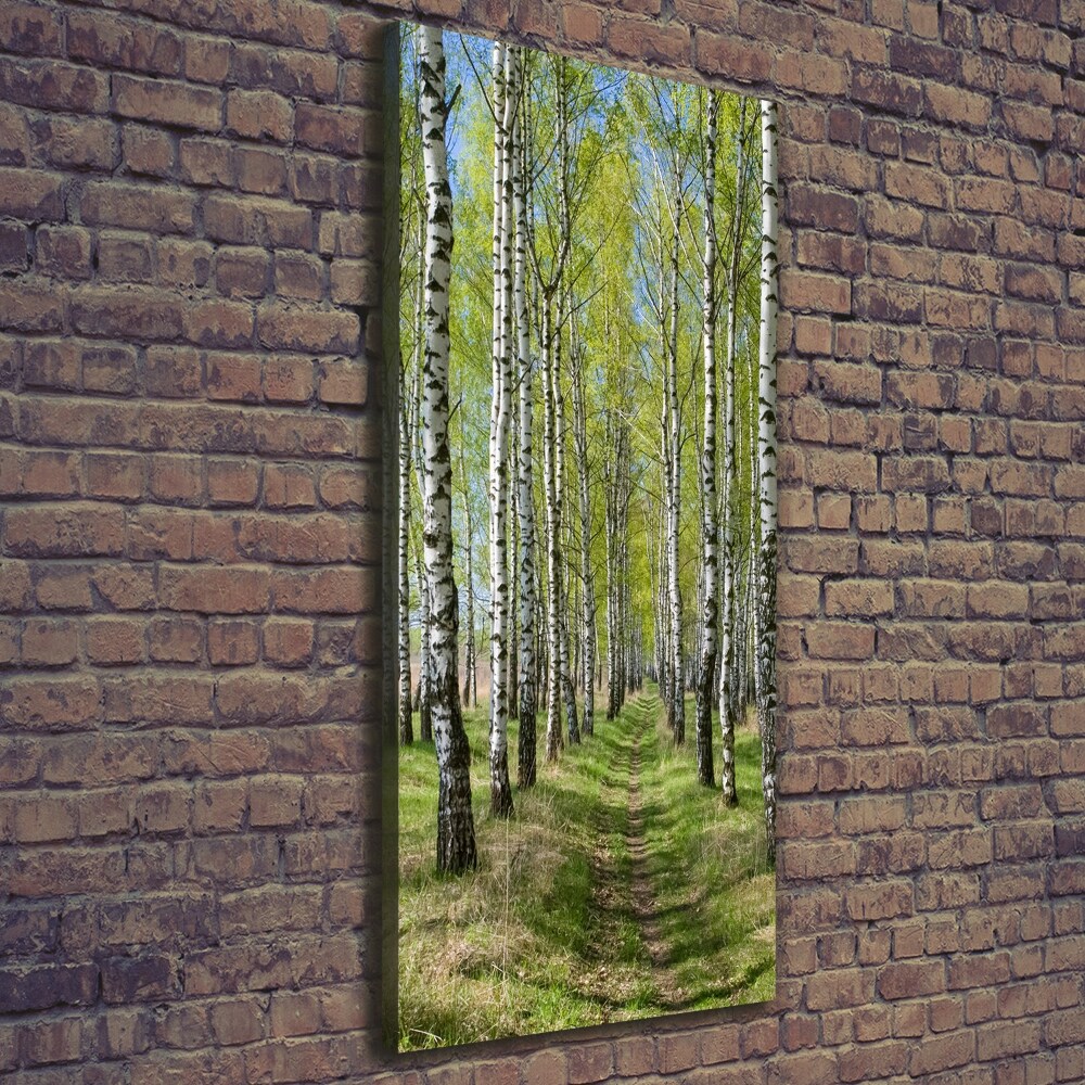 Canvas wall art Birch forest