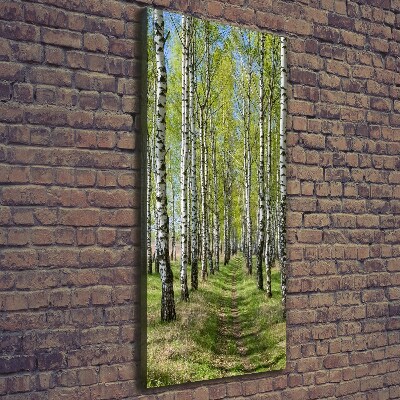 Canvas wall art Birch forest