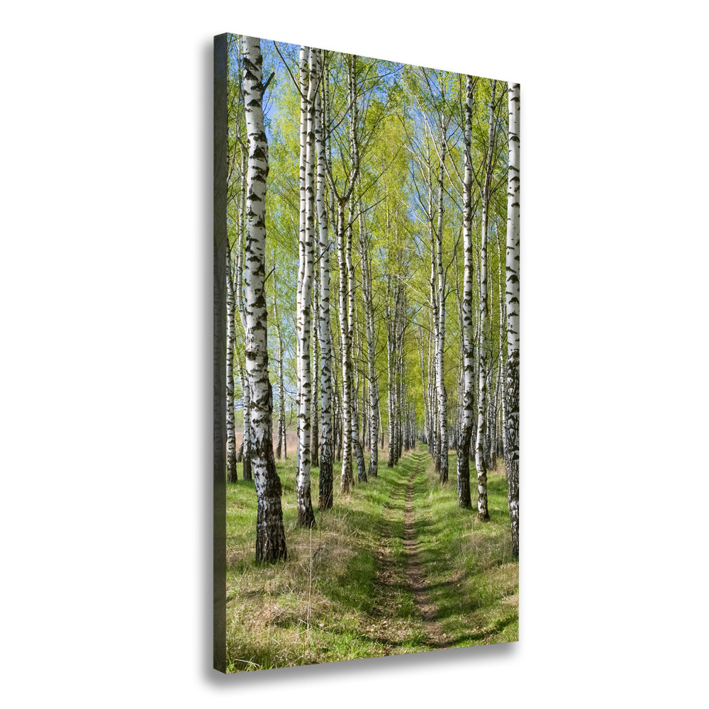 Canvas wall art Birch forest