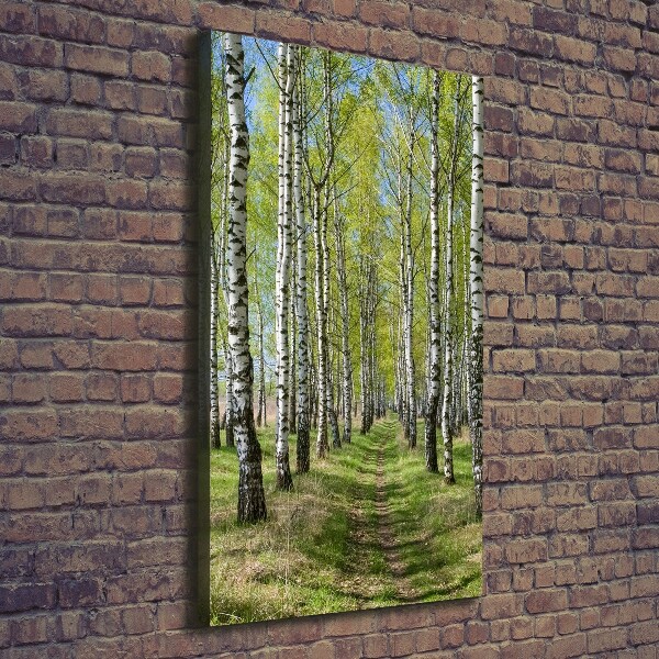 Canvas wall art Birch forest