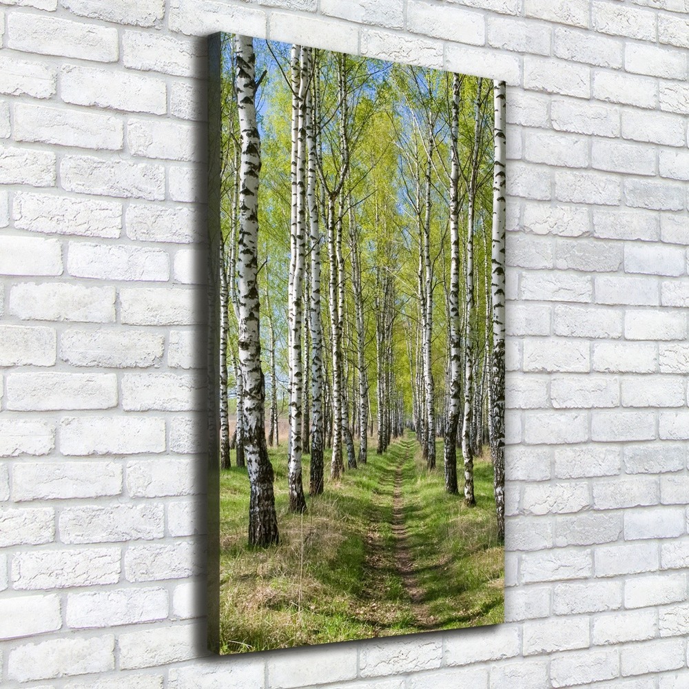 Canvas wall art Birch forest