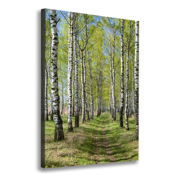 Canvas wall art Birch forest