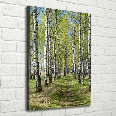 Canvas wall art Birch forest