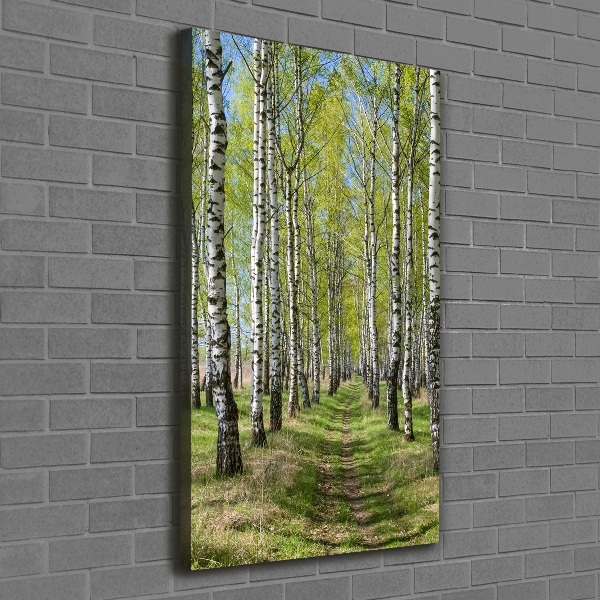 Canvas wall art Birch forest