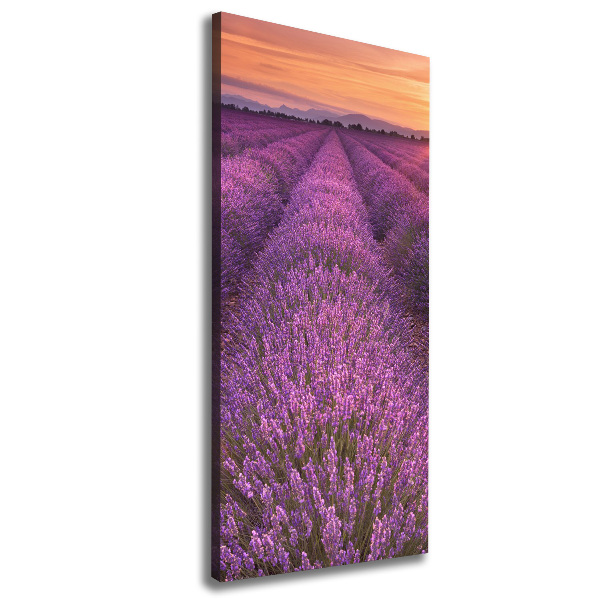 Canvas wall art Lavender field