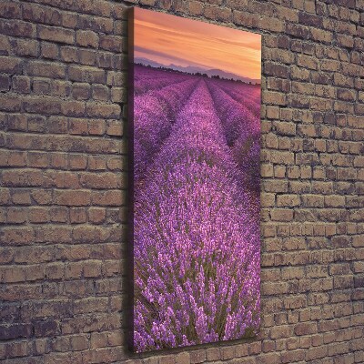 Canvas wall art Lavender field