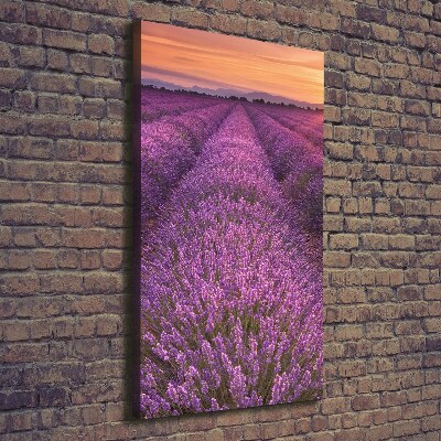 Canvas wall art Lavender field