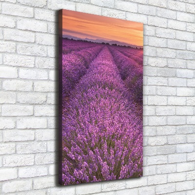 Canvas wall art Lavender field