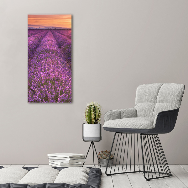 Canvas wall art Lavender field