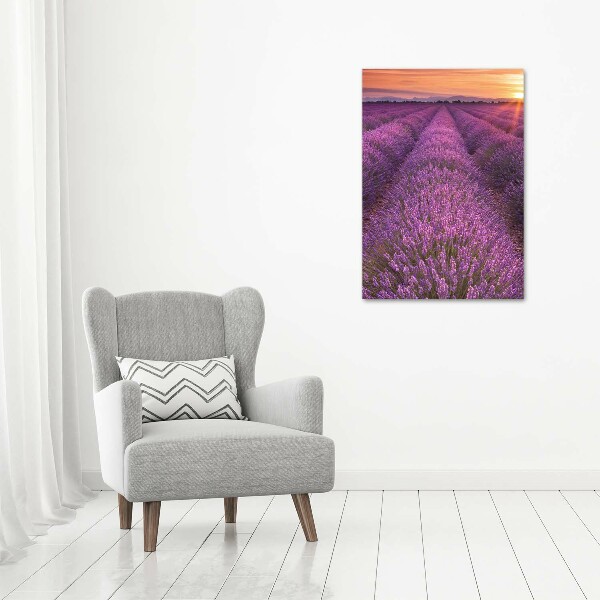 Canvas wall art Lavender field