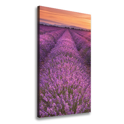 Canvas wall art Lavender field