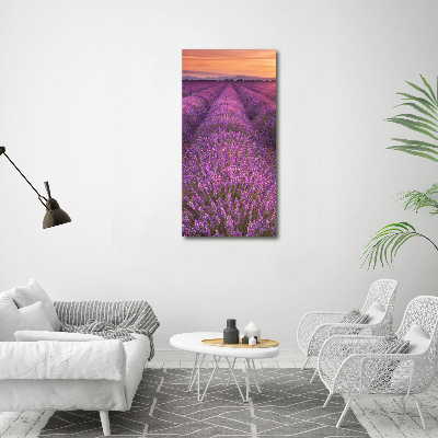 Canvas wall art Lavender field