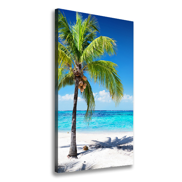 Canvas wall art Tropical beach