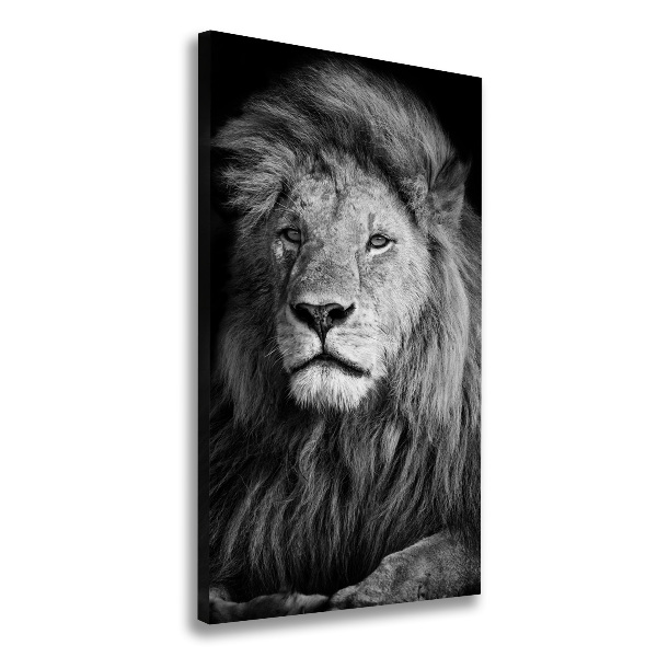 Canvas wall art Portrait of a lion