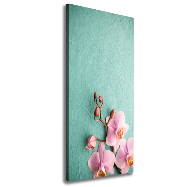 Picture canvas print Pink orchid