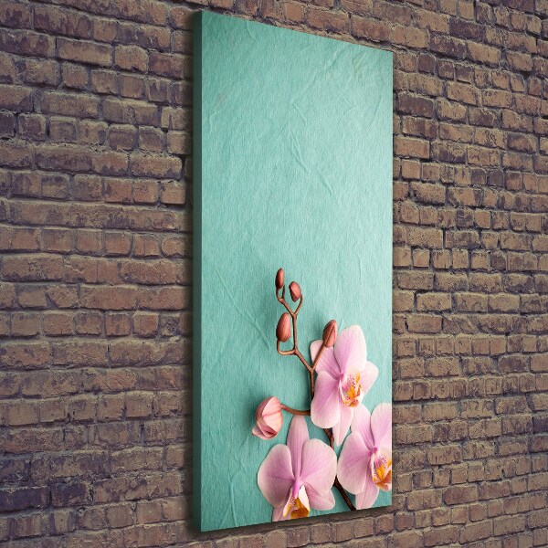 Picture canvas print Pink orchid