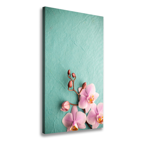 Picture canvas print Pink orchid