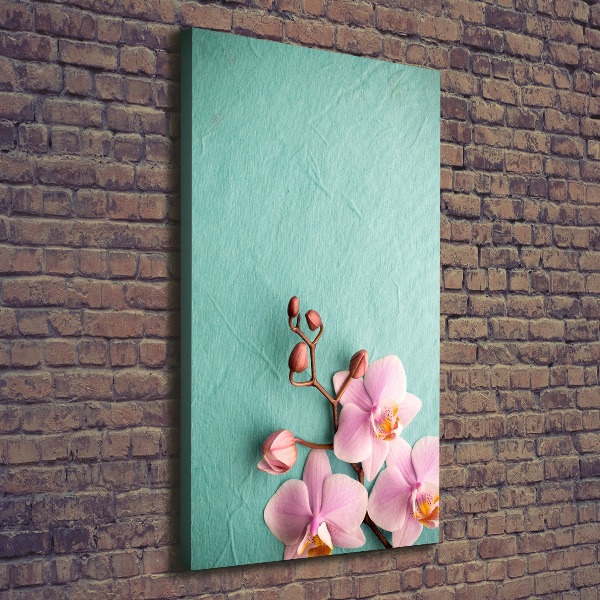 Picture canvas print Pink orchid