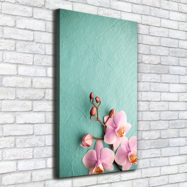 Picture canvas print Pink orchid