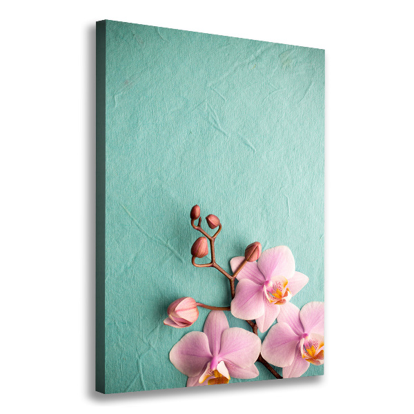 Picture canvas print Pink orchid