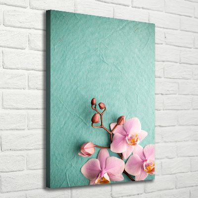 Picture canvas print Pink orchid