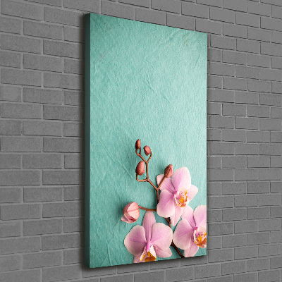 Picture canvas print Pink orchid