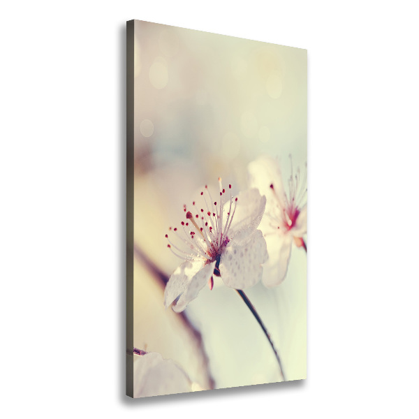 Wall canvas art Cherry blossoms