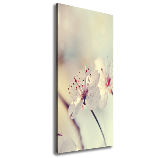 Wall canvas art Cherry blossoms