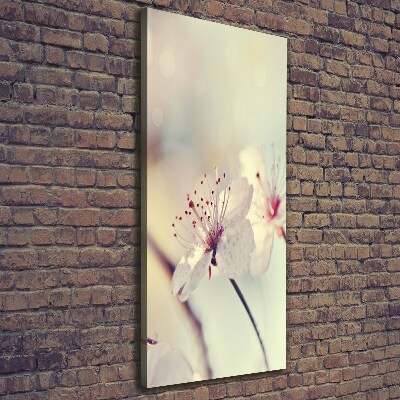 Wall canvas art Cherry blossoms