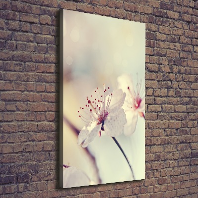 Wall canvas art Cherry blossoms