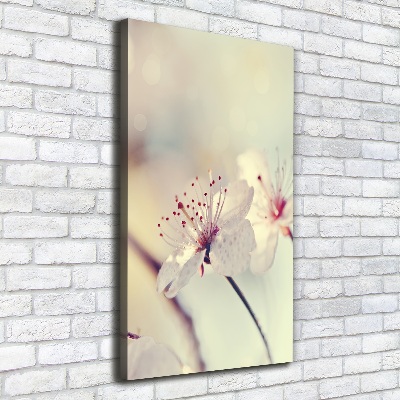 Wall canvas art Cherry blossoms