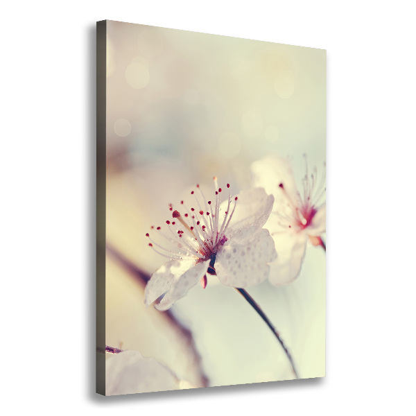 Wall canvas art Cherry blossoms