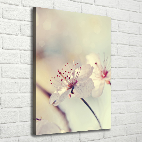 Wall canvas art Cherry blossoms