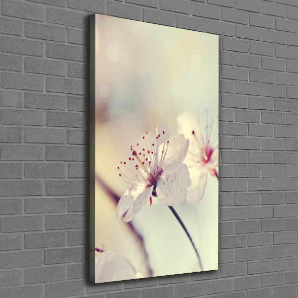 Wall canvas art Cherry blossoms