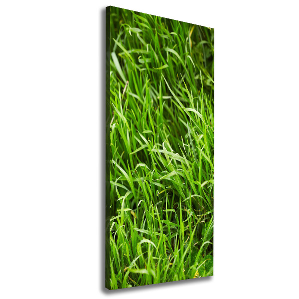 Wall canvas art Grass