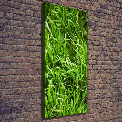 Wall canvas art Grass