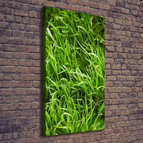 Wall canvas art Grass